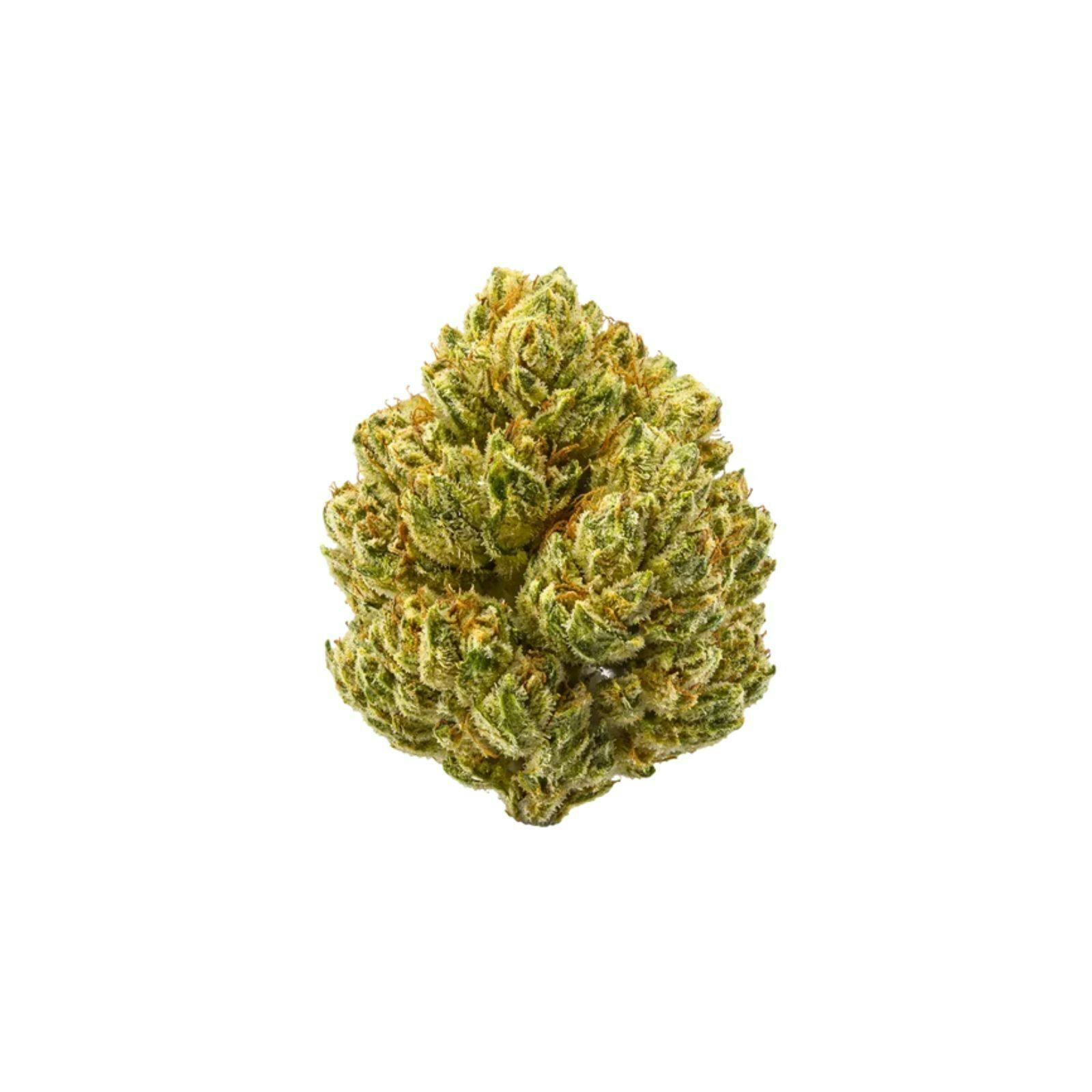 Silver Shelf - Iron Sherb (I/H) at Social Dispensary Golden