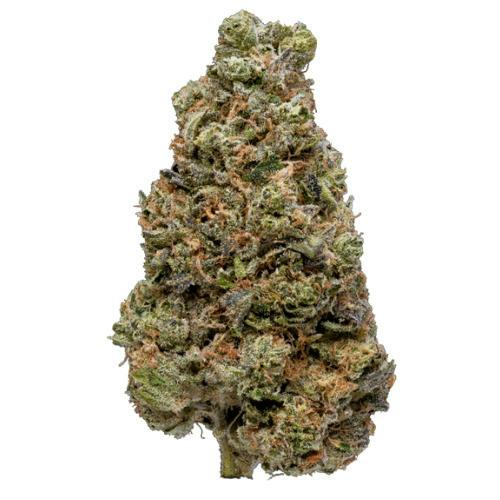 HOG Cannabis Bully Kush 28g