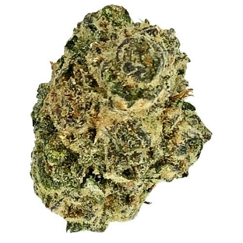 North Coast Cultivators Trap Jacks Pre-Packed 7g