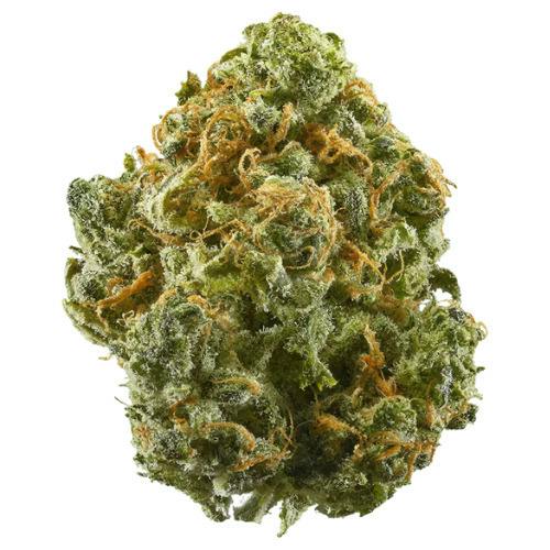 Uplyfted Blue Ritz Pre-Packed