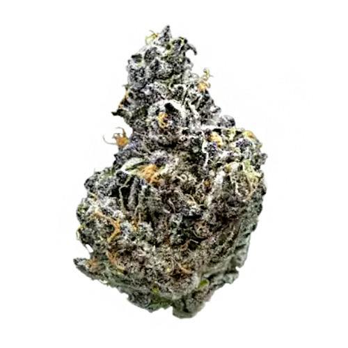 Society C. Vice City 28g