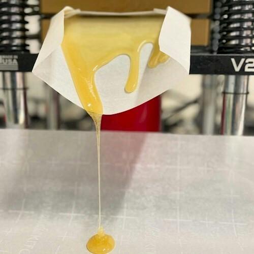 GMO Rosin