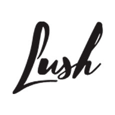 Lush Sour Watermelon 1:1 Soft Jelly Chews Gummies 10-Pack Edibles Verdelux