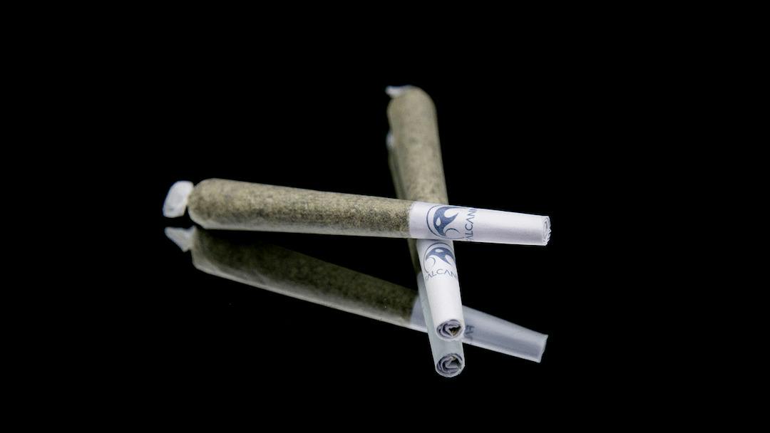 Pacific Purple Pre-Roll 2pk | 1.2g (DOH)