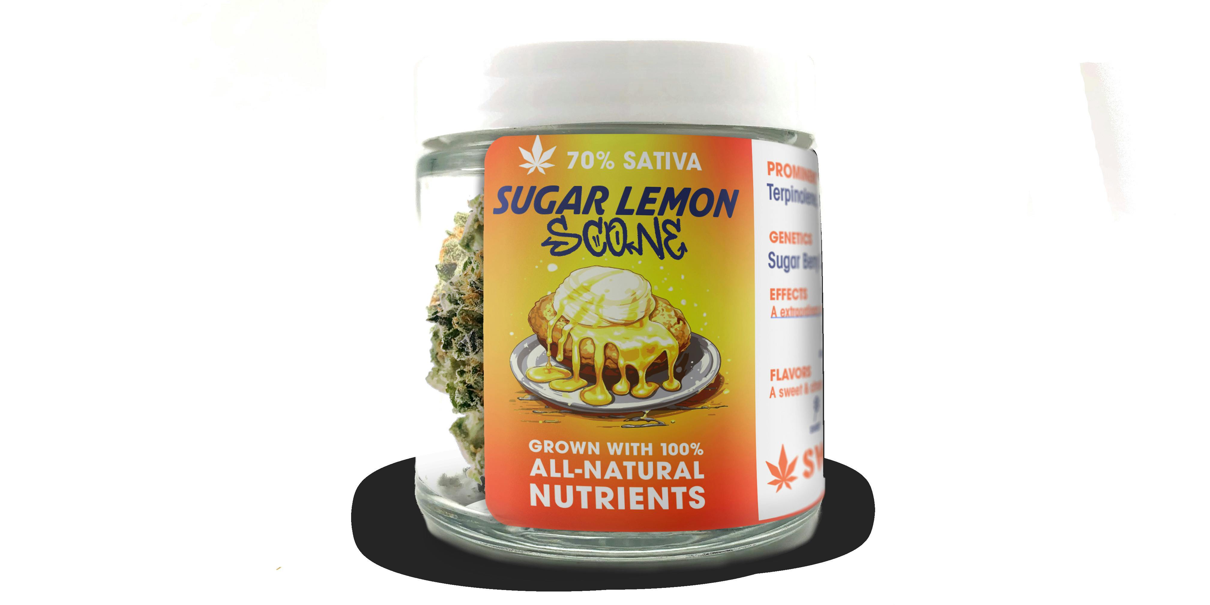 Sugar Lemon Scone (DOH)