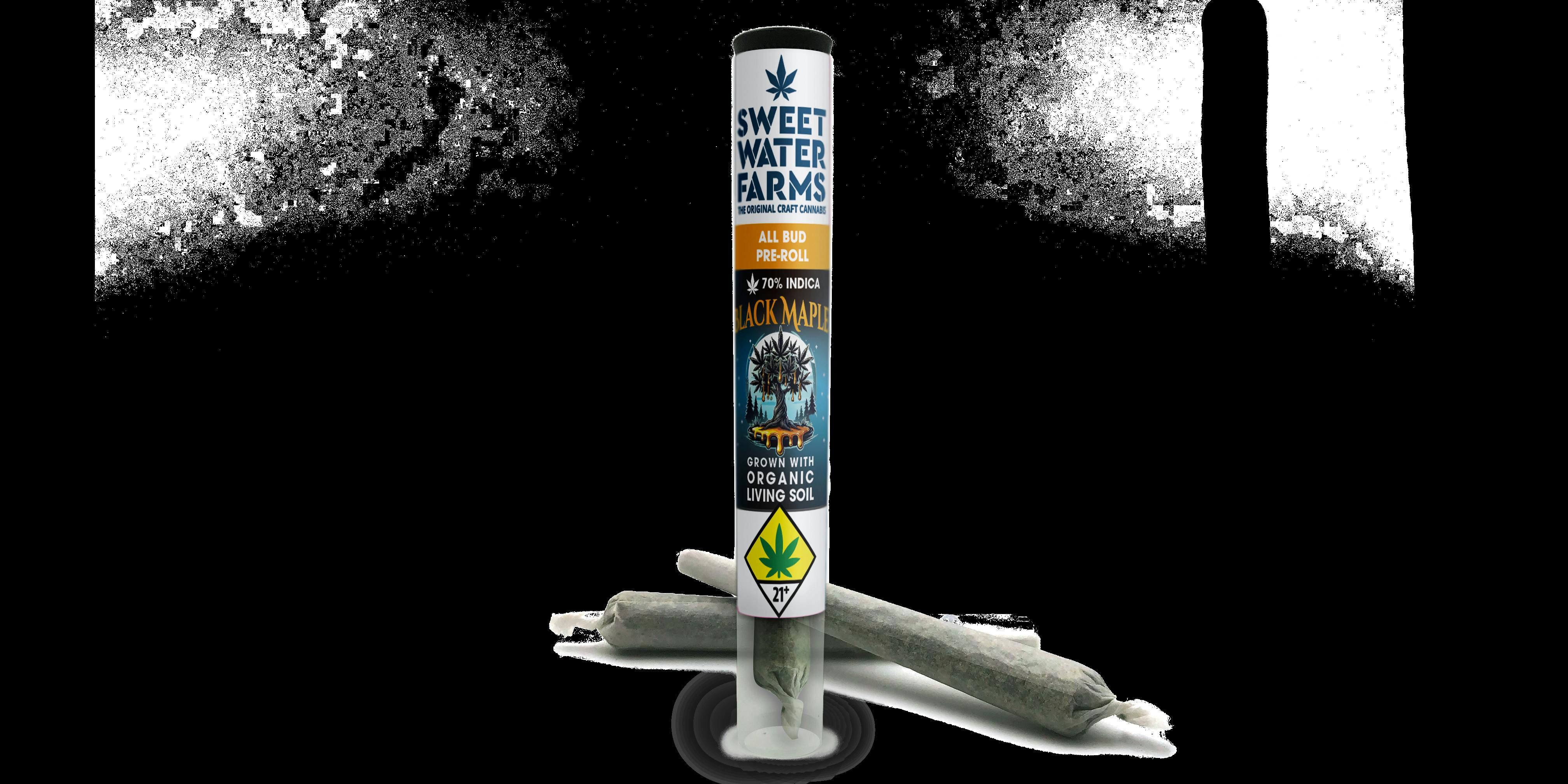 Black Maple Pre-Roll 2pk | 1g (DOH)