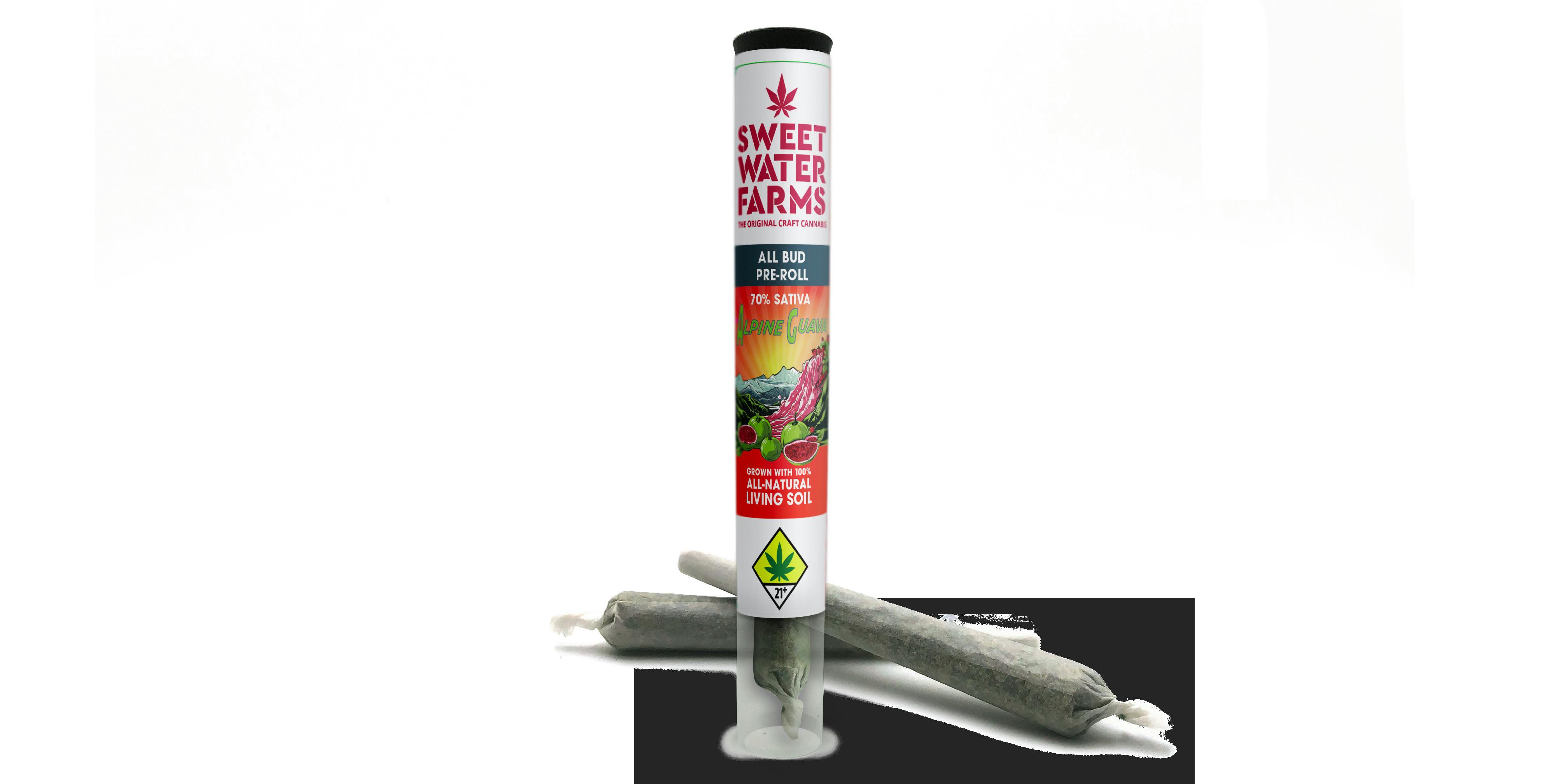 Alpine Guava Pre-Roll 2pk | 1g (DOH)