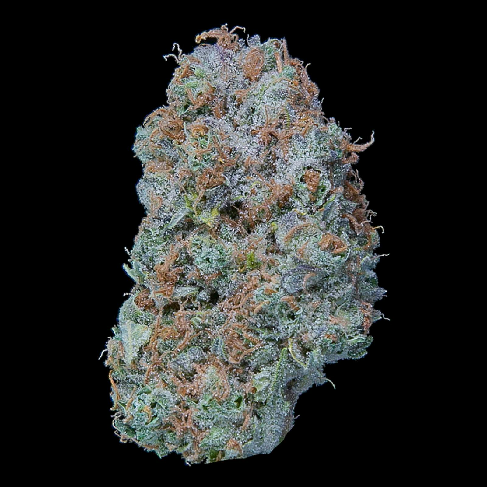 Dutch Haze (DOH)