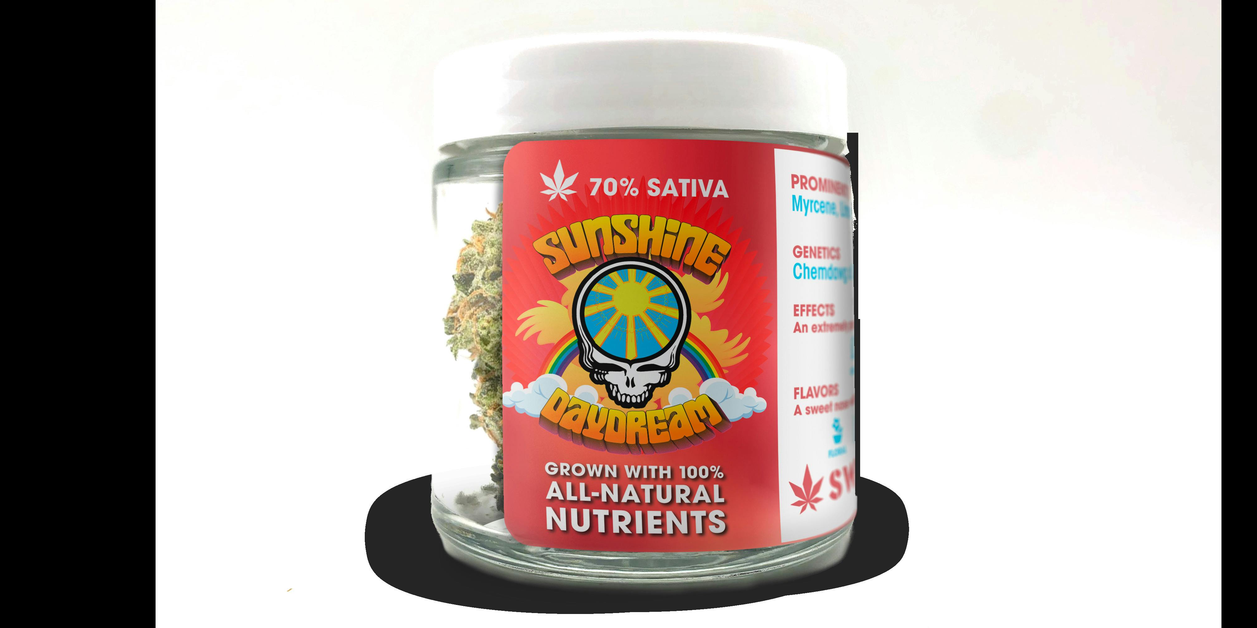 Sunshine Daydream (DOH)