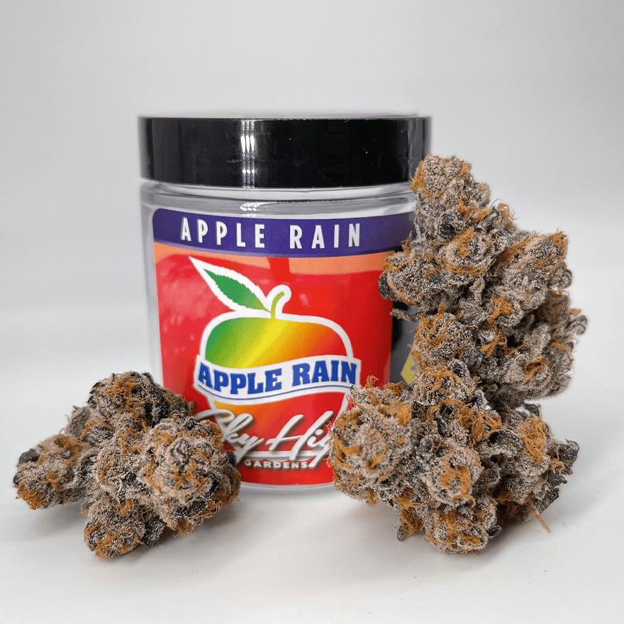 Apple Rain (DOH)