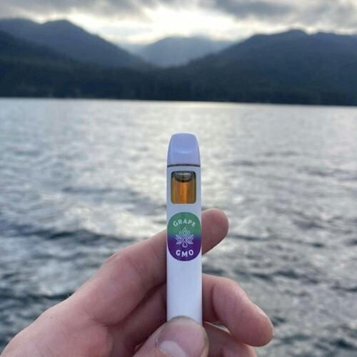 Tropicana Cookies - Solventless Rosin AIO