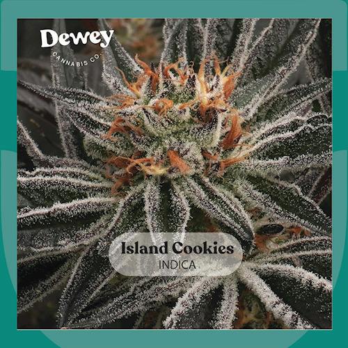 Island Cookies | 3.5g (DOH)