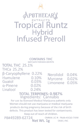 Tropical Runtz Infused Joint - H 1g