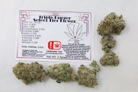 (7 Leaf) Triple Burger - Select Tier Flower -Indica 3.5g