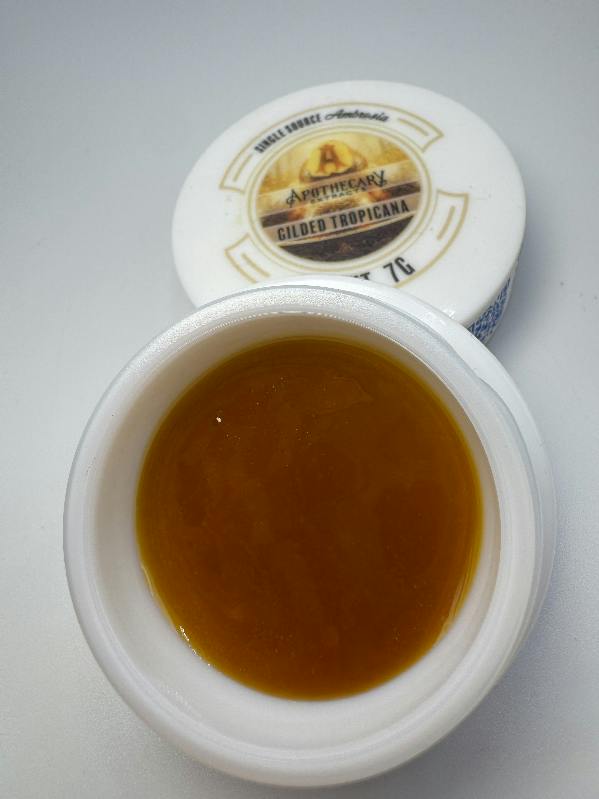 Gilded Tropicana Live Resin Ambrosia - Sativa 7g
