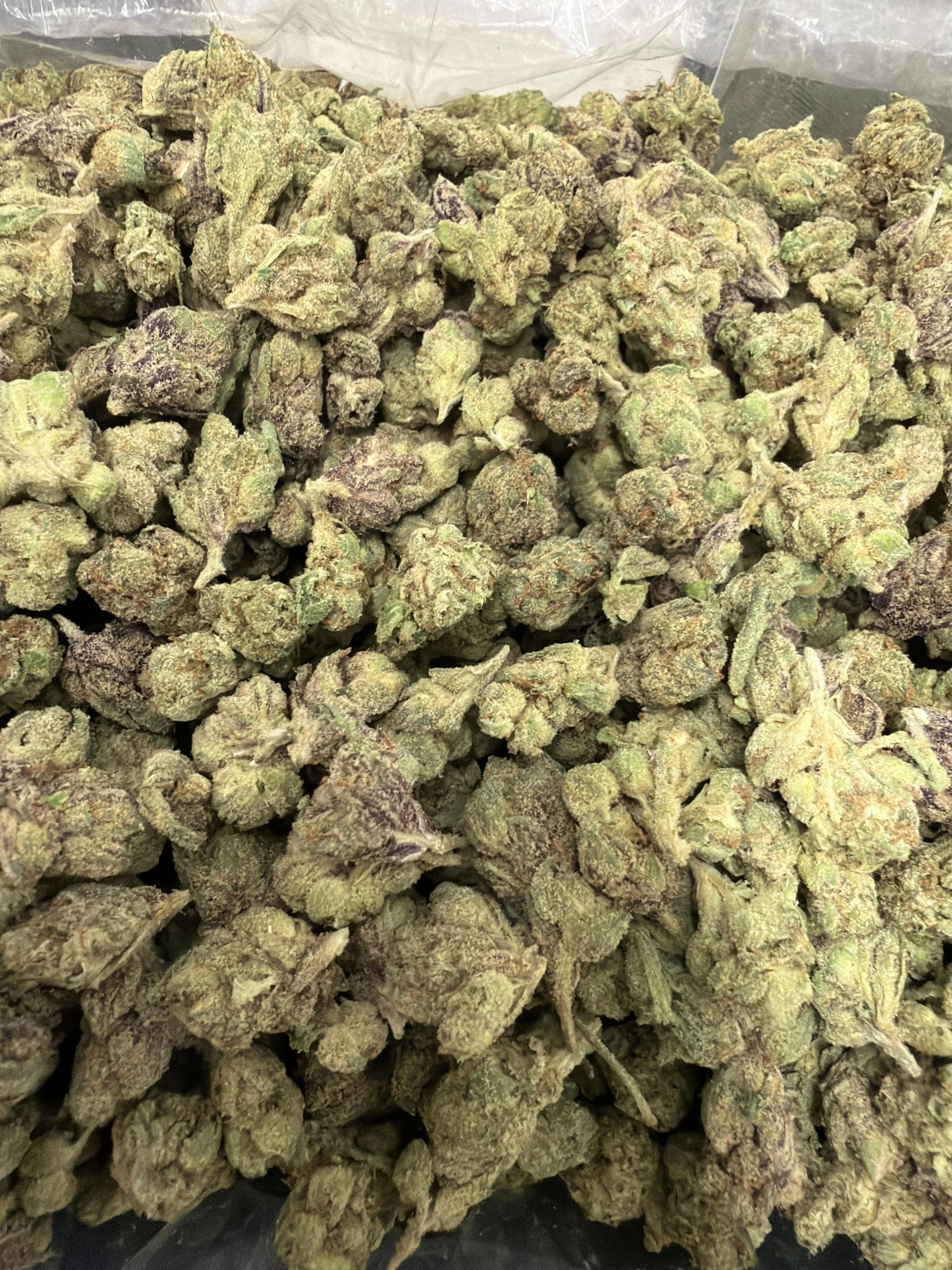 80E: Bubblegum Jack