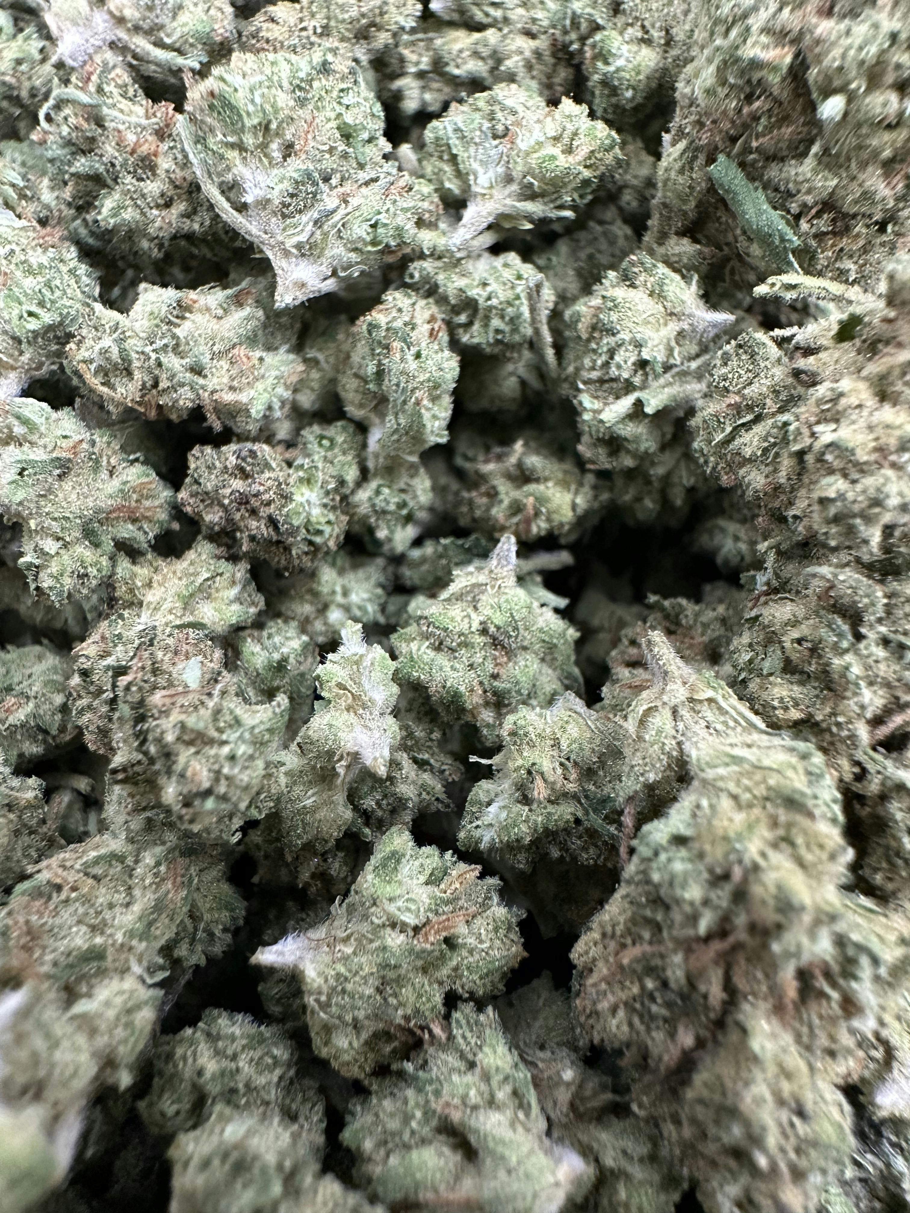 Fresh: Uk Cheese