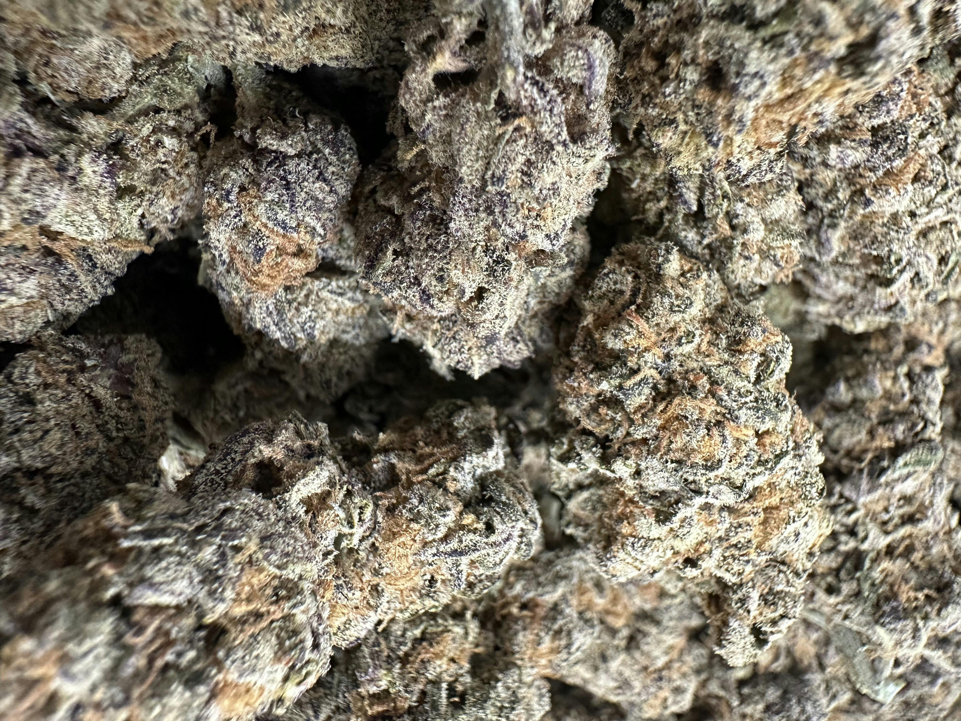 Fresh: Grandaddy Grape
