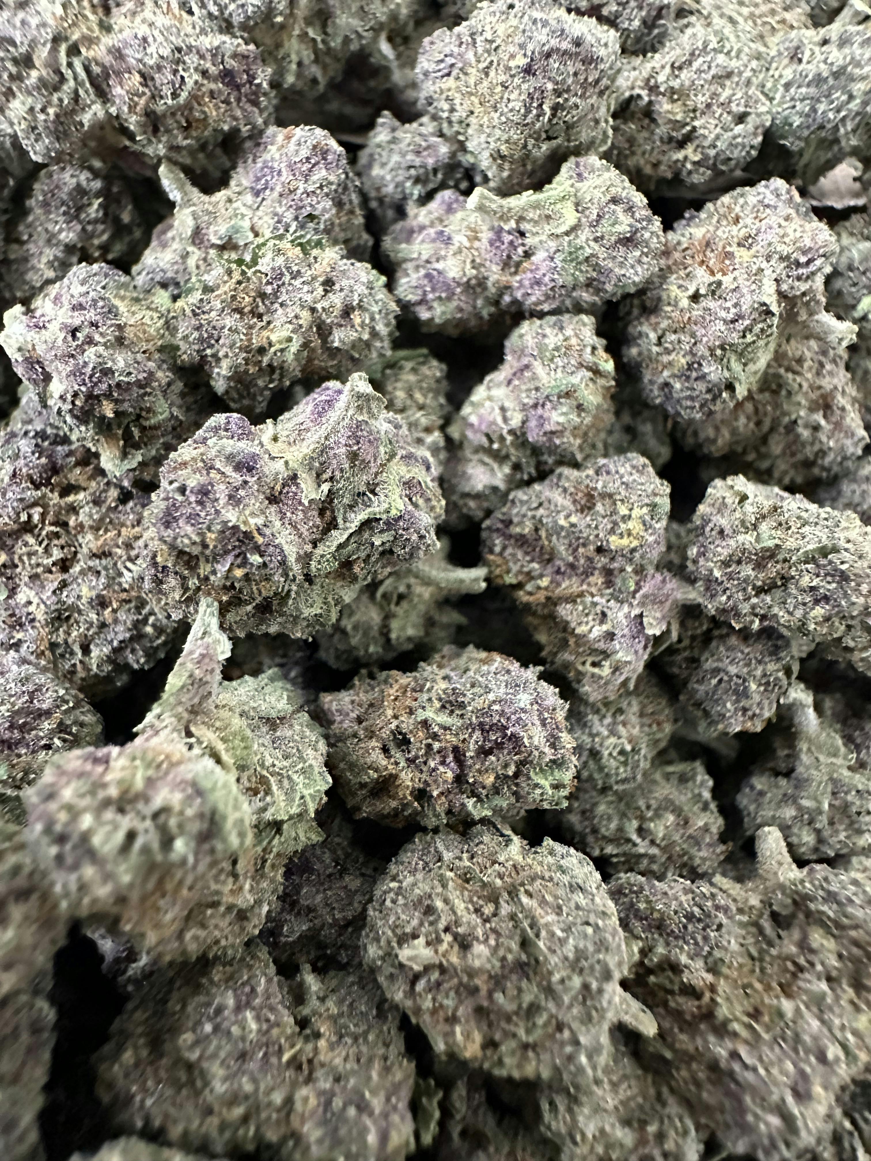 Fresh: Tropicana Cherry