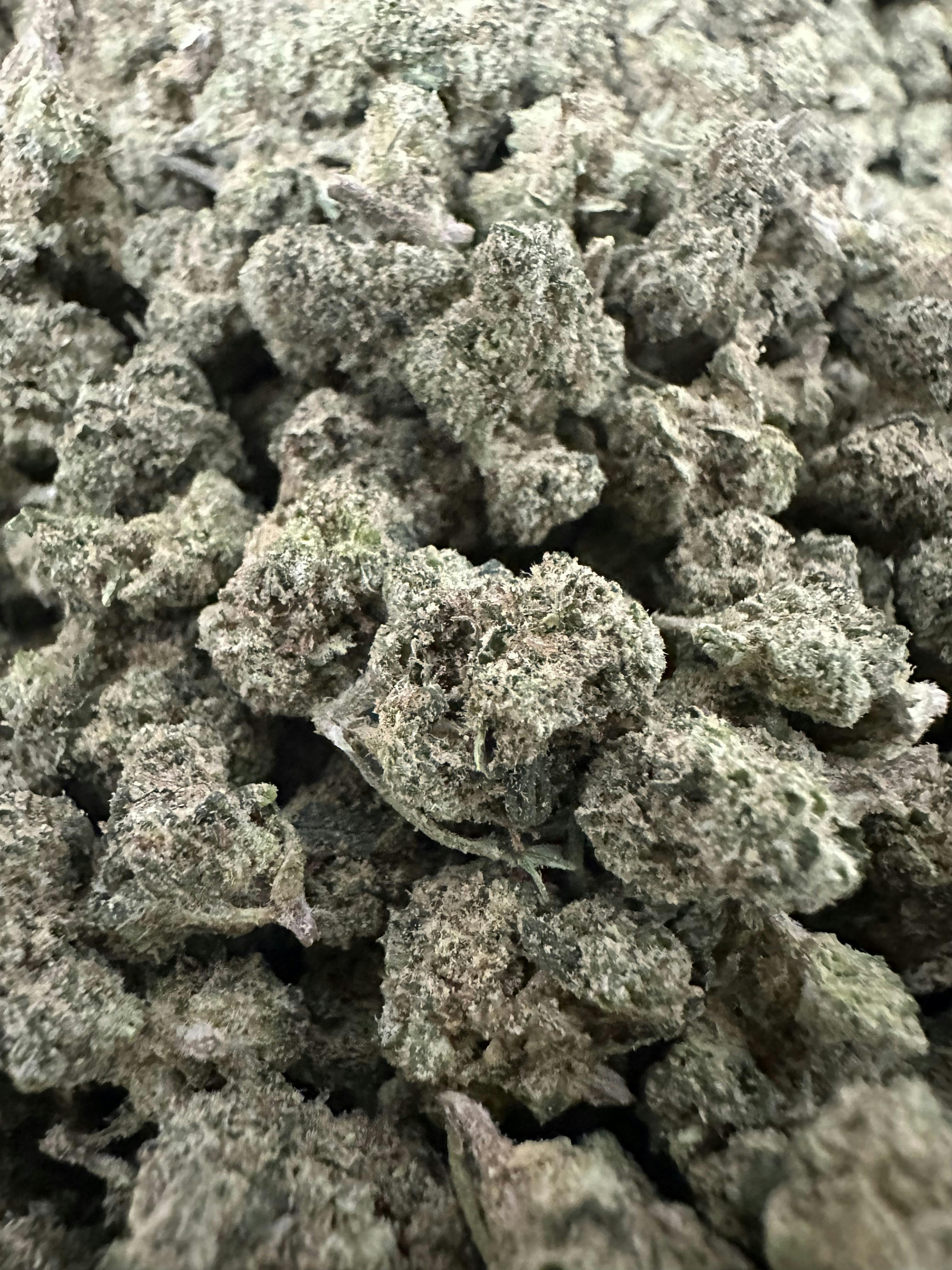 Fresh: Key Lime Jack