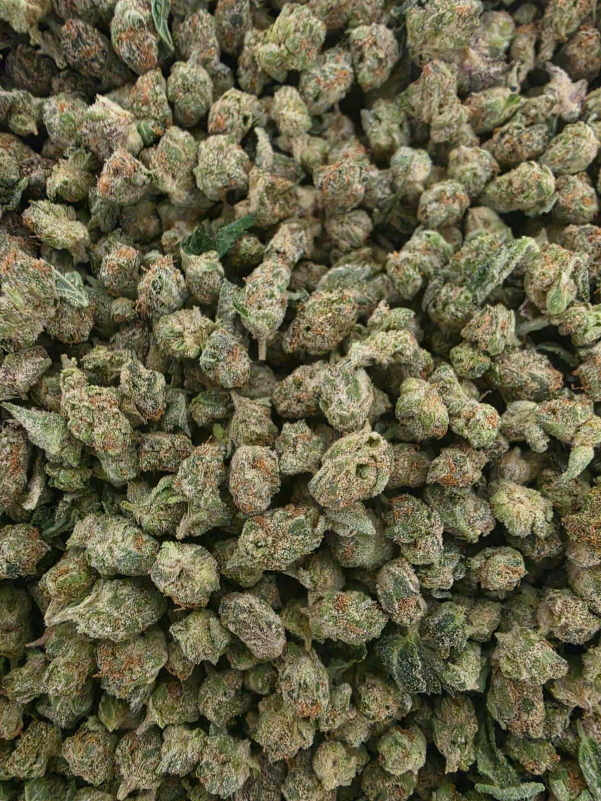 Fresh: Space Rocks