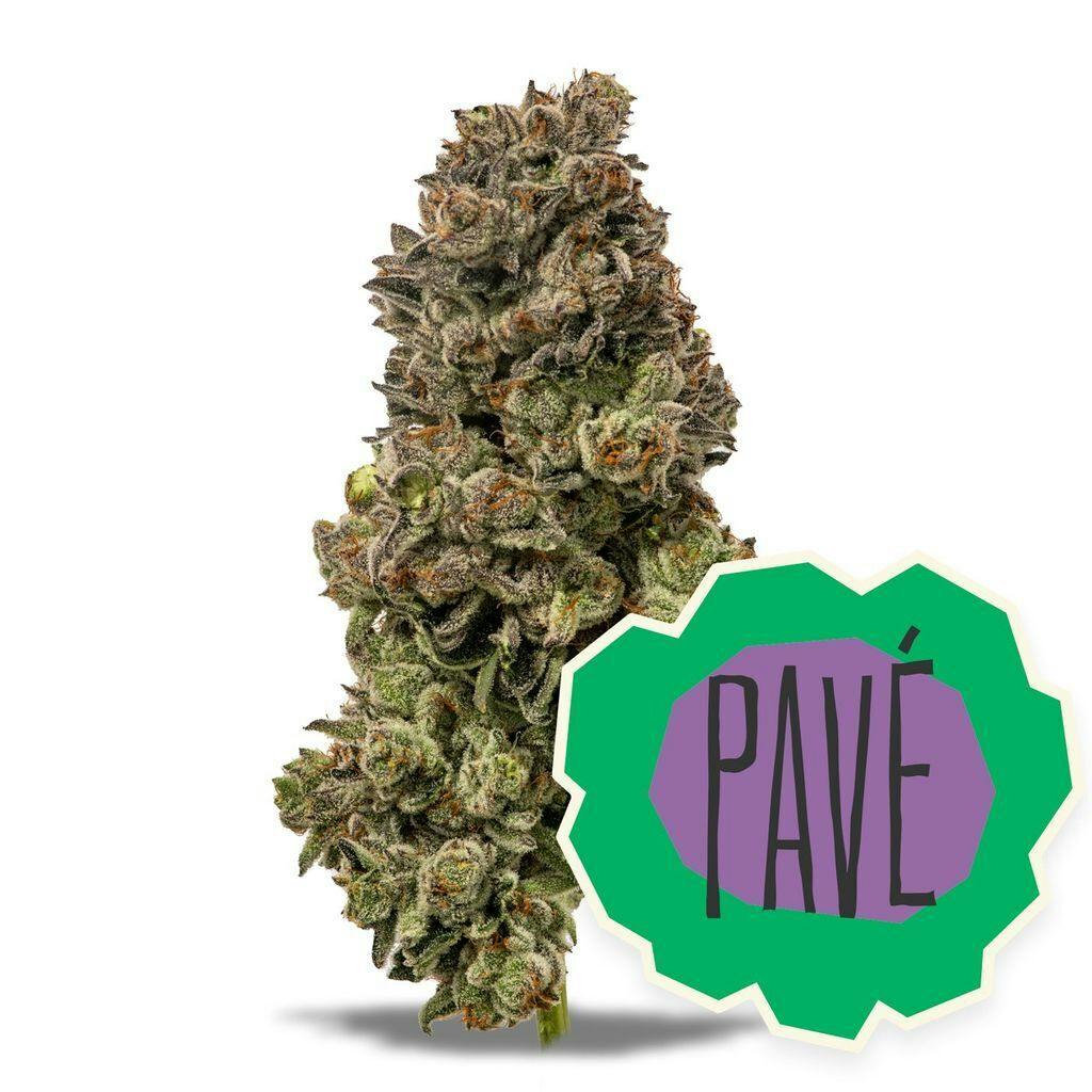District Cannabis Pave 3.5g Flower