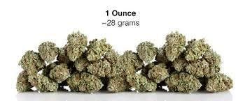 A Summer URBN Special Mixed Buds Sativa: Agent Z 28g In Store Only