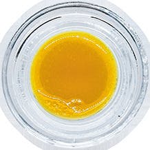 IC Banger Live Budder