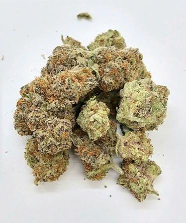 HOST | Goldmember | 14g