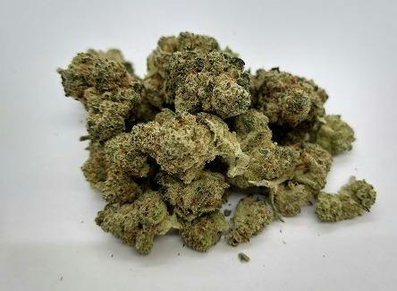 Gg#4