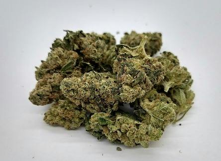 Infusiasm | Ghost Dawg | 14g