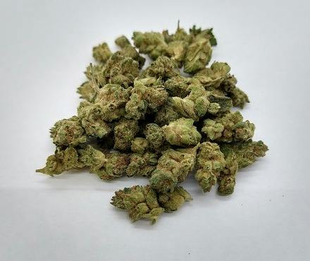 Original Glue