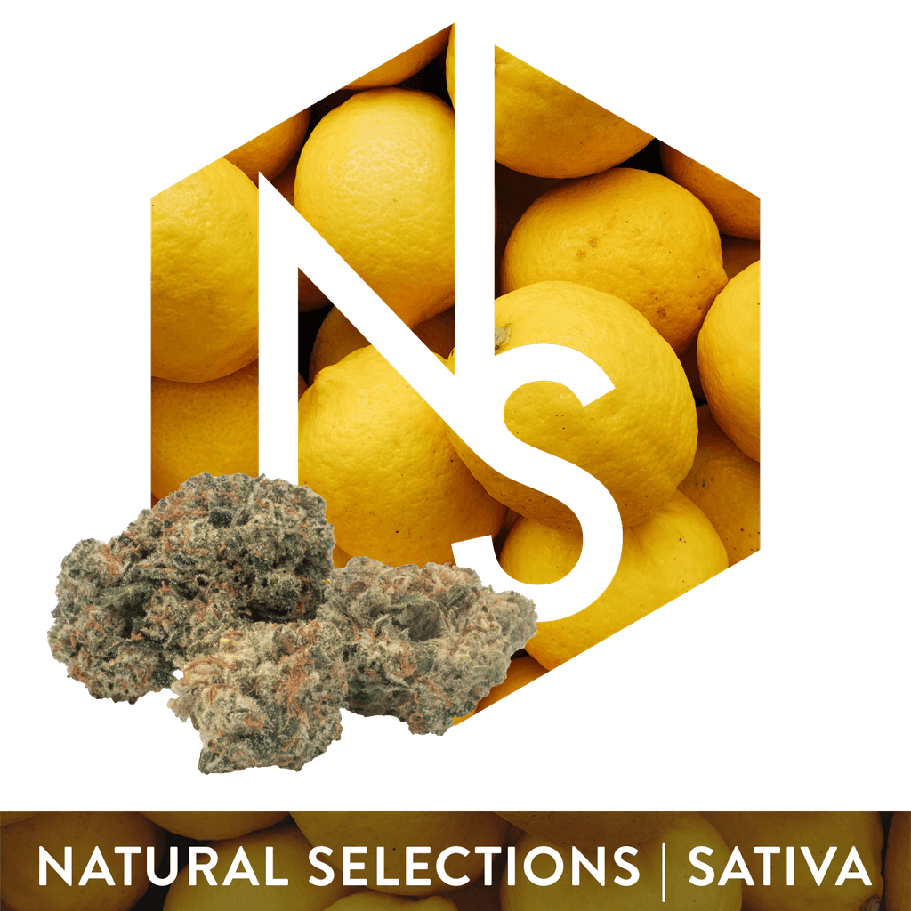 Natural Selections Super Lemon Haze 3.5g