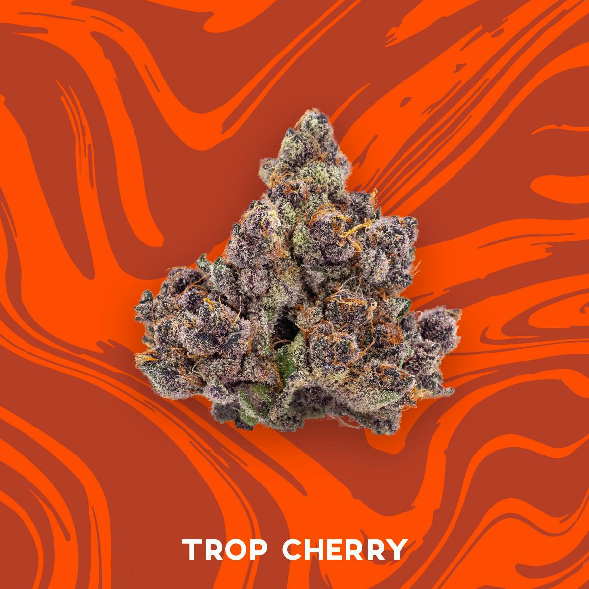 Vivid - Prepack - Rainbow Beltz - [3.5g]