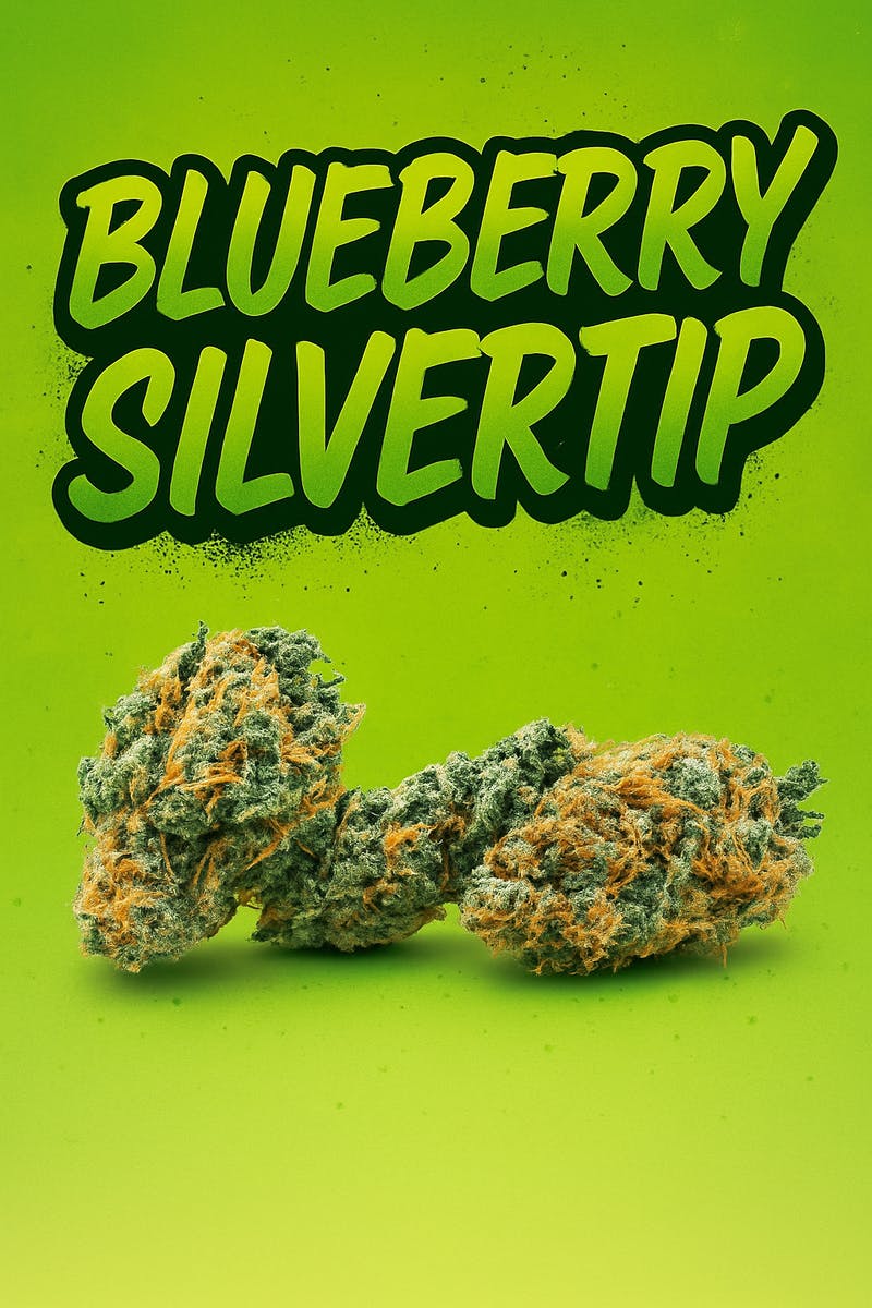 Blueberry Silvertip -