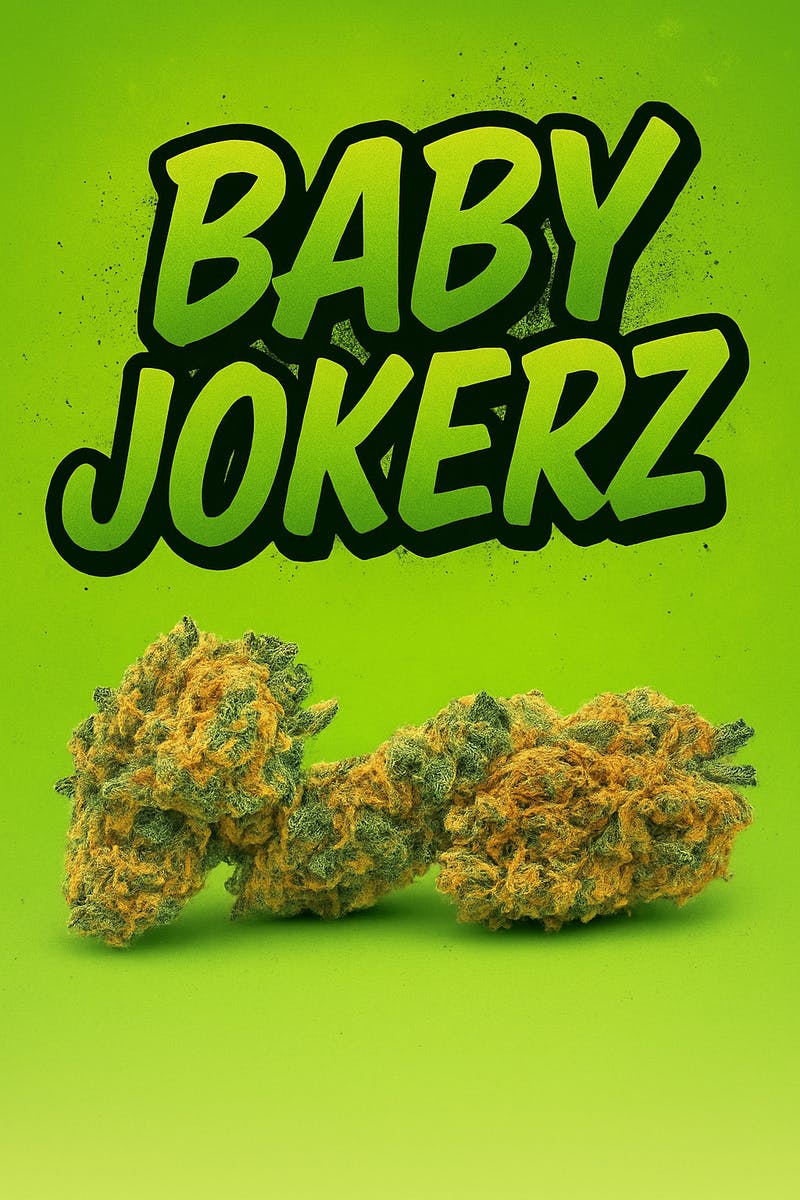 Baby Jokerz -