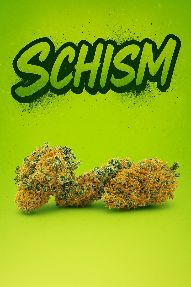 Schism -