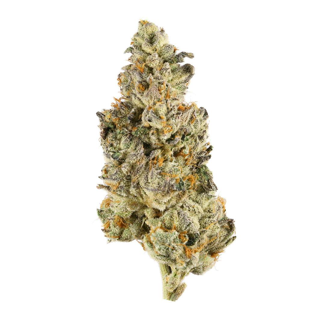 Fora Farm | Apple Fritter