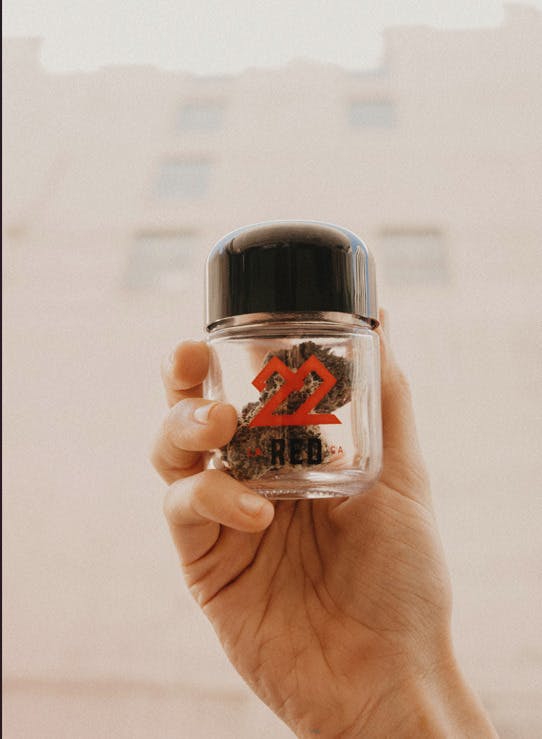 Strawberry Z
