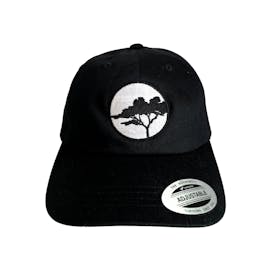 Monterey Cypress Black Dad Hat