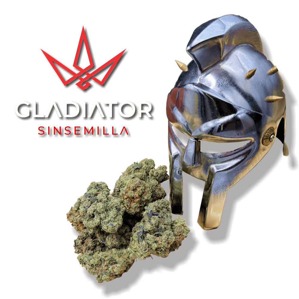 Gladiator -Flower -Hi Chew - 3.5g