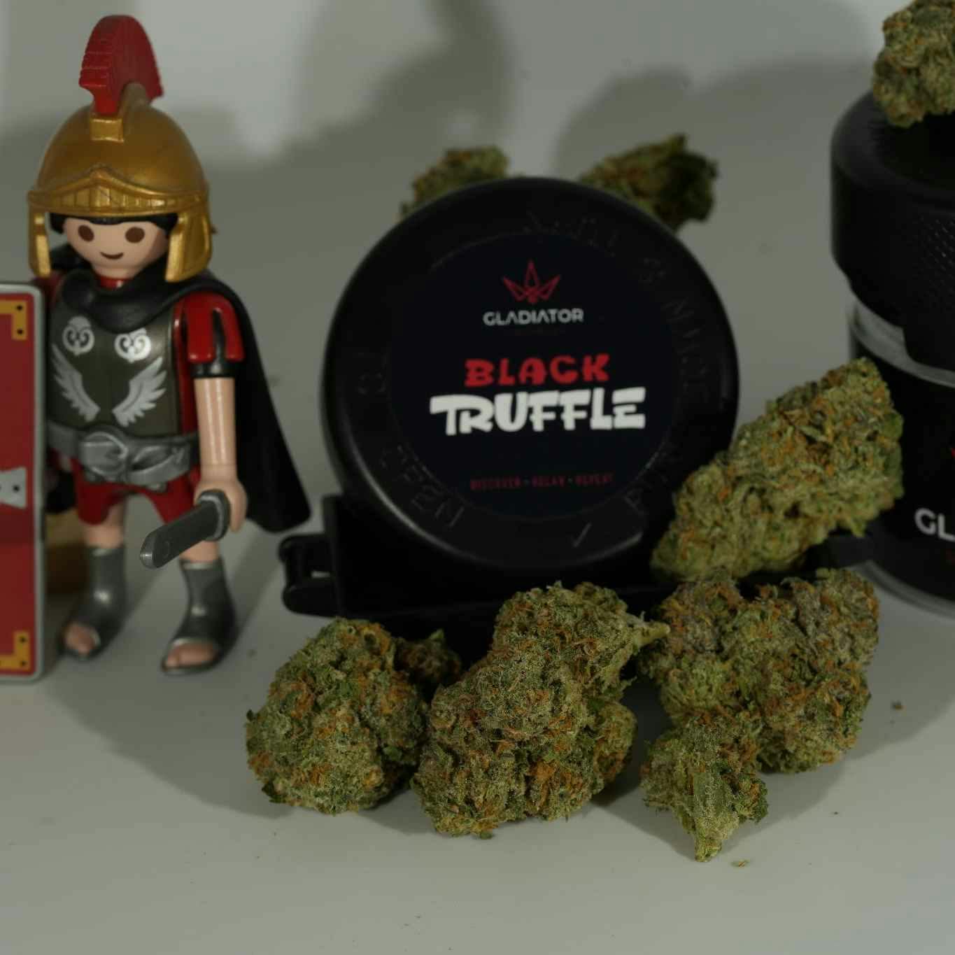 Gladiator - Flower - Black Truffle - (3.5g)