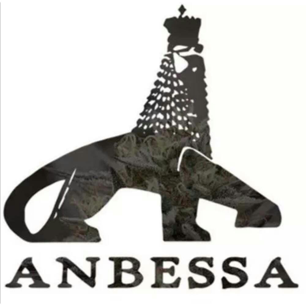 Anbessa Organic Veg Brew | Anbessa