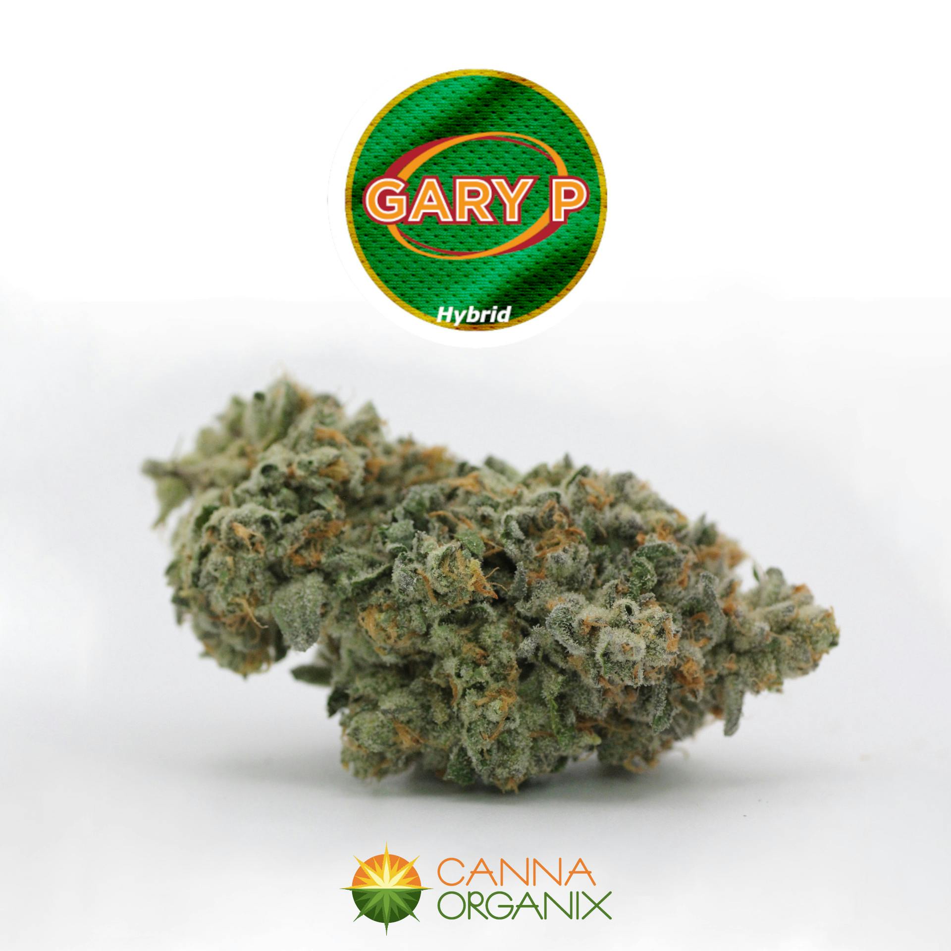 Gary Payton | Canna Organix