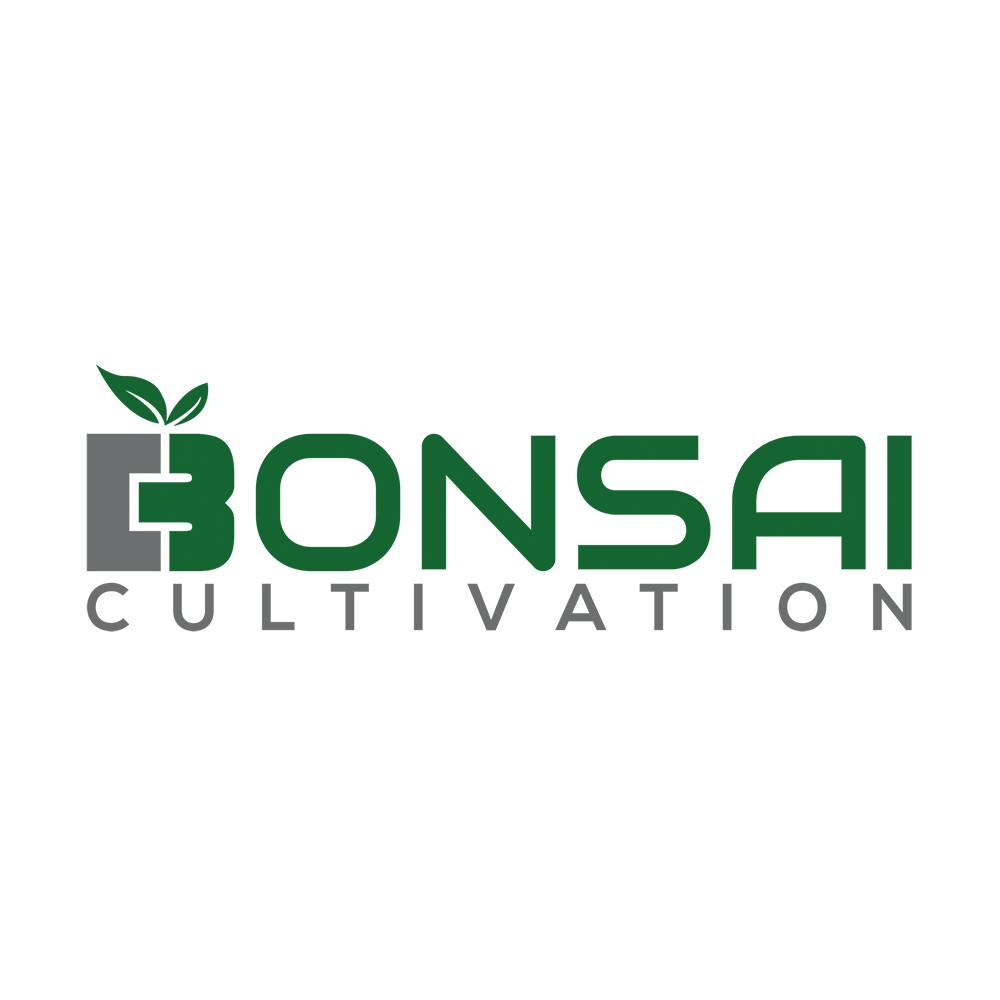 Frost Burn | Bonsai Cultivation