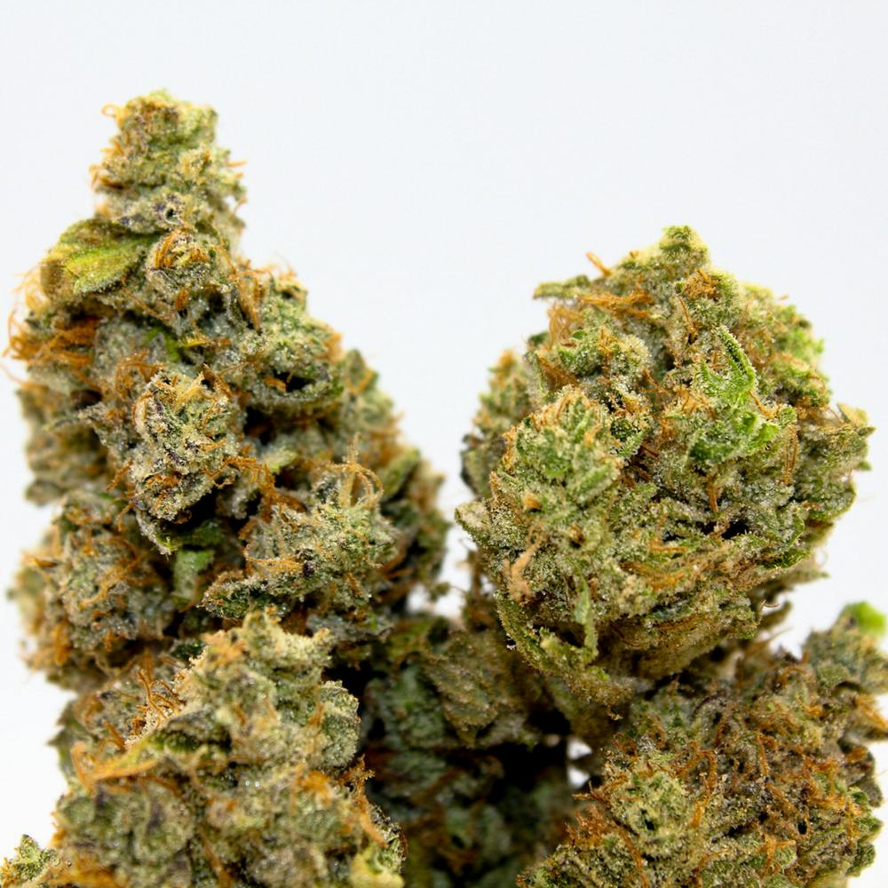 Dirty Taxi | Magic City Farms