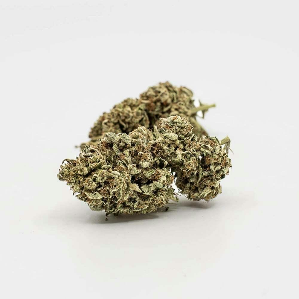 Member OG | Maggie's Farm - Maggie's Classic Cuts