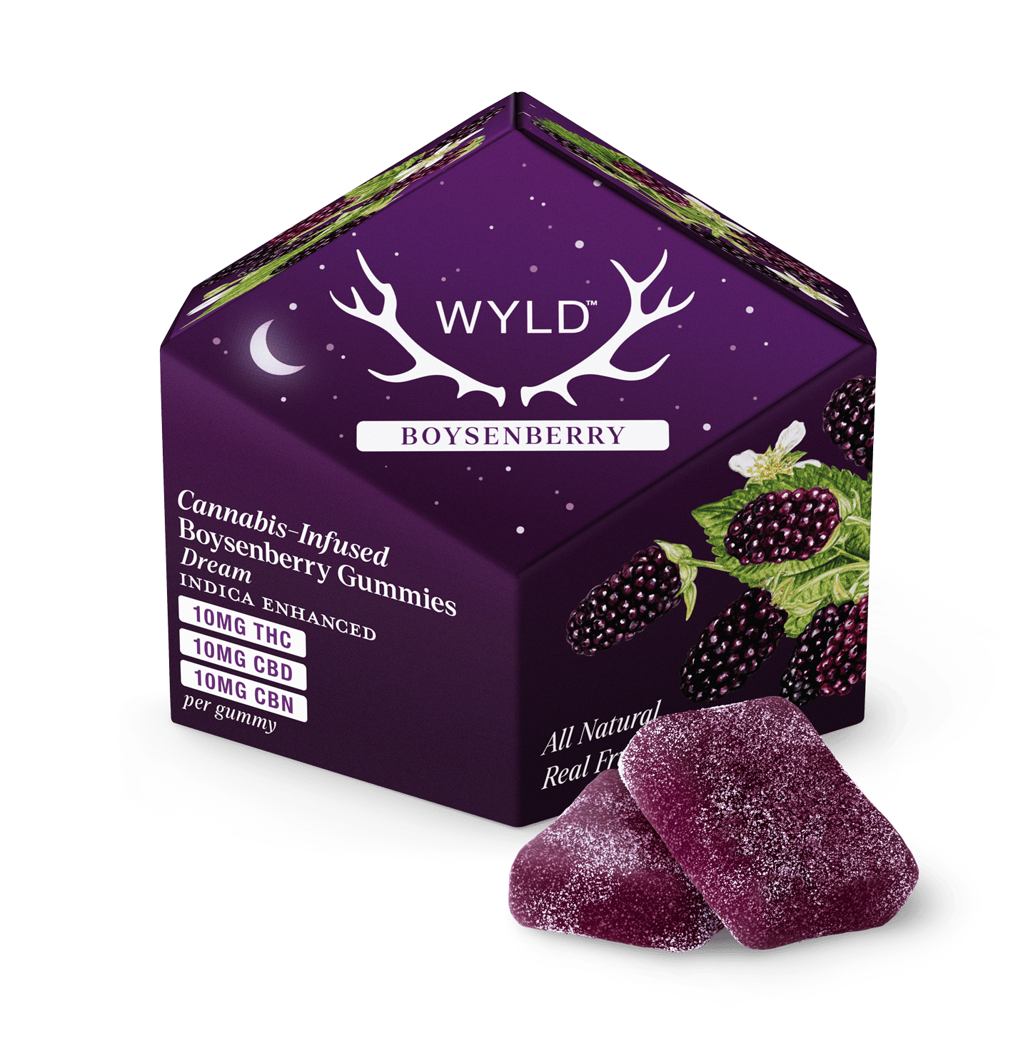 Wyld Gummies 100mg - Boysenberry (I)