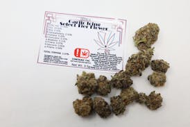 7 Leaf Garlic Icing Select Flower - Indica 3.5g