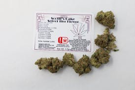 (7 Leaf) Scotti's Cake - Select Tier Flower -Indica 3.5g